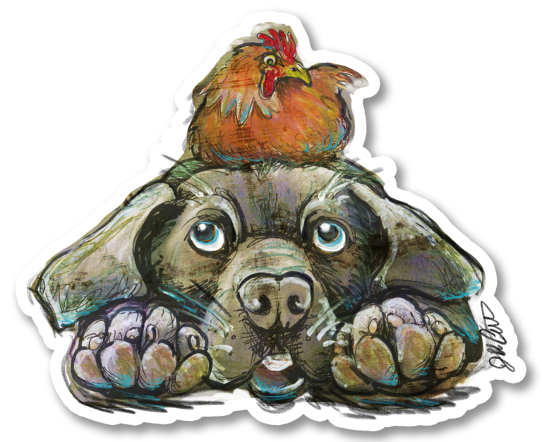 Chicken and the Dog Cover Sticker 4.25 x 3