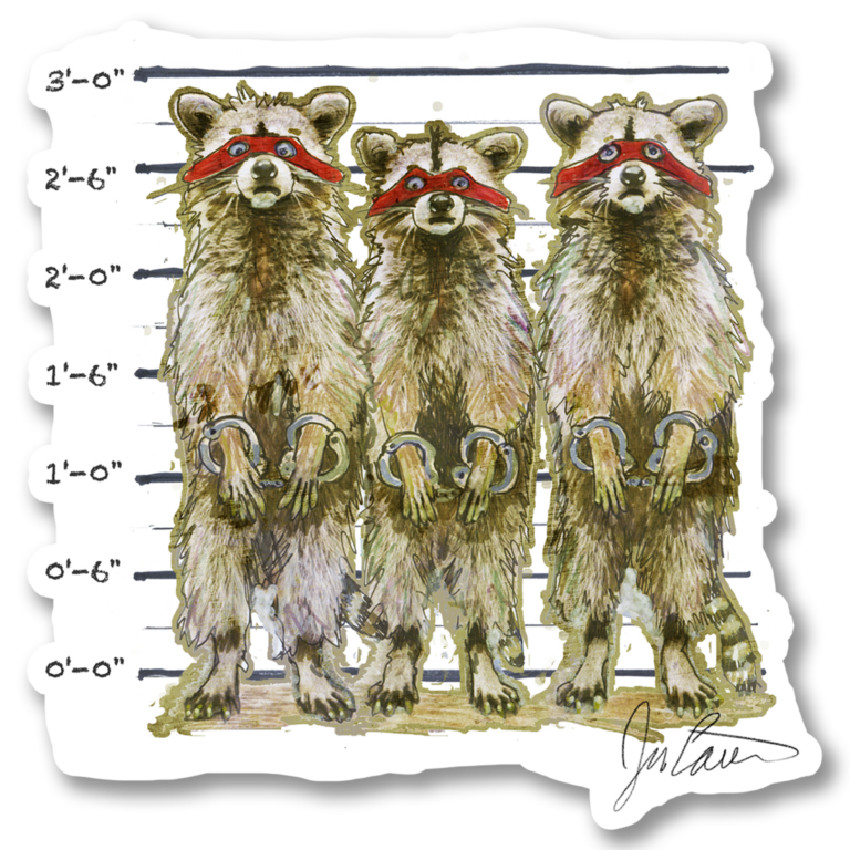 Racoons in cuffs Sticker 3.44 x 3