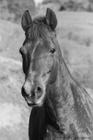 My beautiful picture