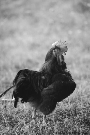 My beautiful picture